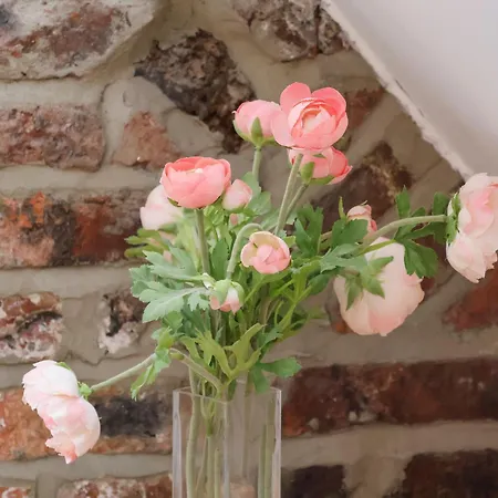 Сasa de vacaciones Storm